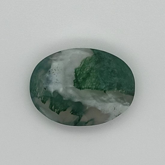 Tree Agate 5.57 Ct Gem Quality Tree Agate 5.57 Ct Gem Quality